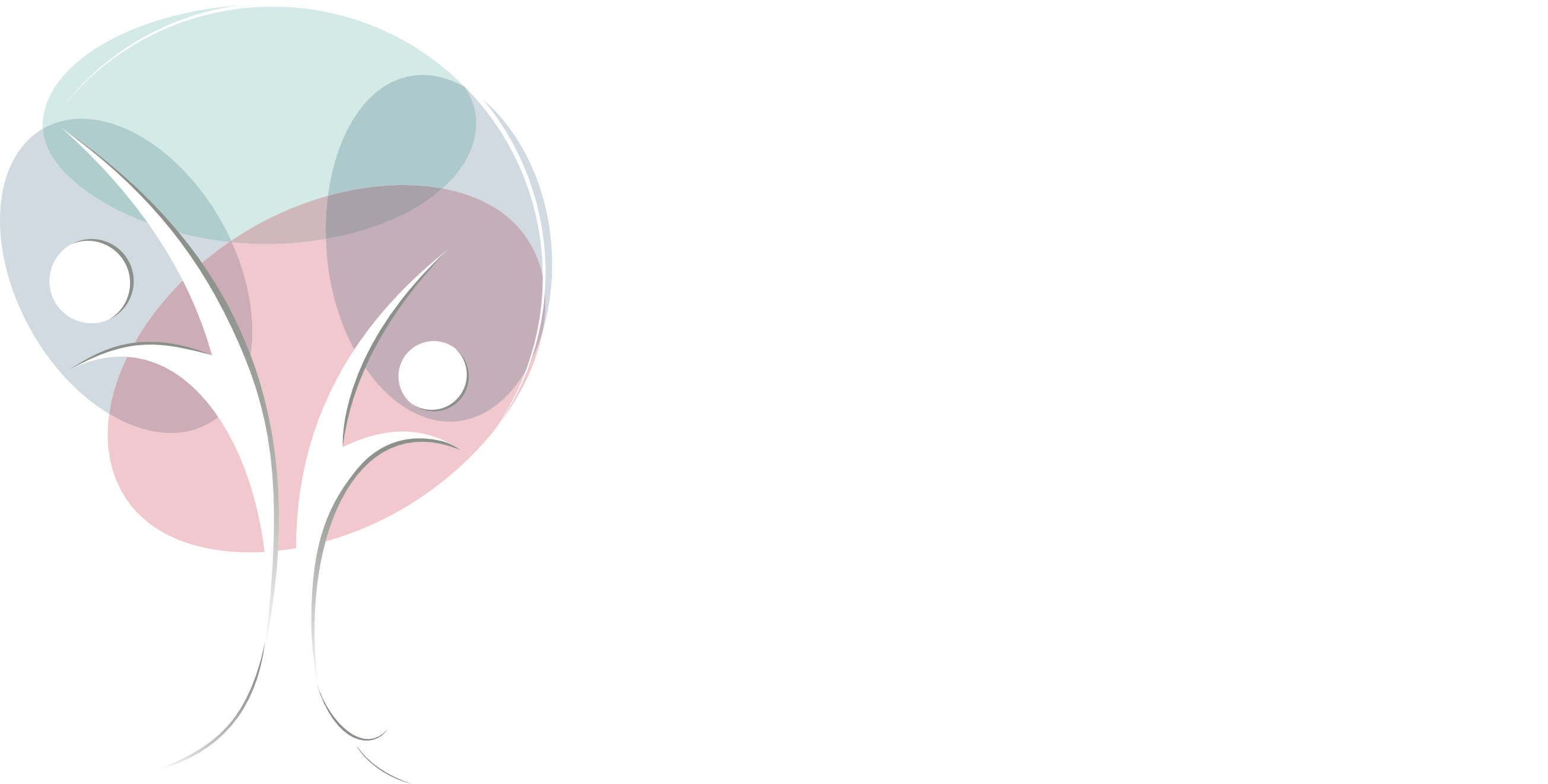 Mentalis logo